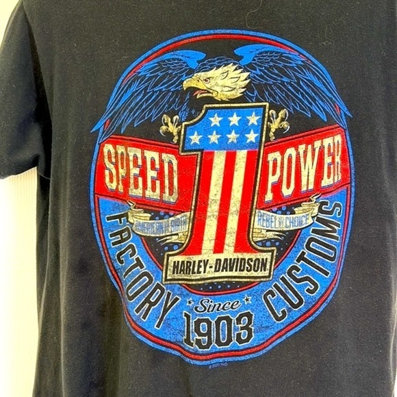 Harley Davidson - Bald Eagle Speed Power Folsom CA Short Sleeve T Shirt Size LG - Picture 3 of 12